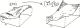 thumbs/A01-Lop.eps.jpg
