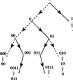 thumbs/figBihamTree.eps.jpg