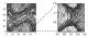 thumbs/standard1_2.eps.jpg