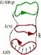 thumbs/tube.eps.jpg
