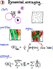 thumbs/55-PartitDynAver.png