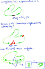 thumbs/CycleMetric.png