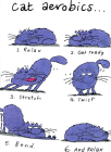 thumbs/CatAerobics.png