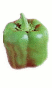 File: 